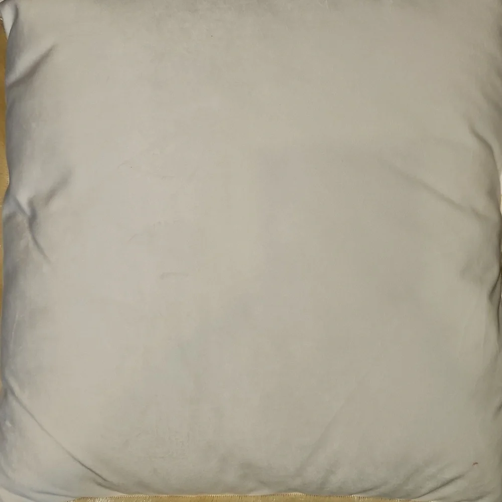 Pier 1 Imports Velvet Pumpkin Pillow